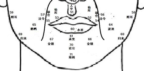 不露鼻孔 面相|麦玲玲面相讲座之 鼻子 – 人相学